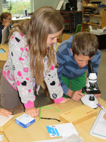 Students working together on microscope activities.